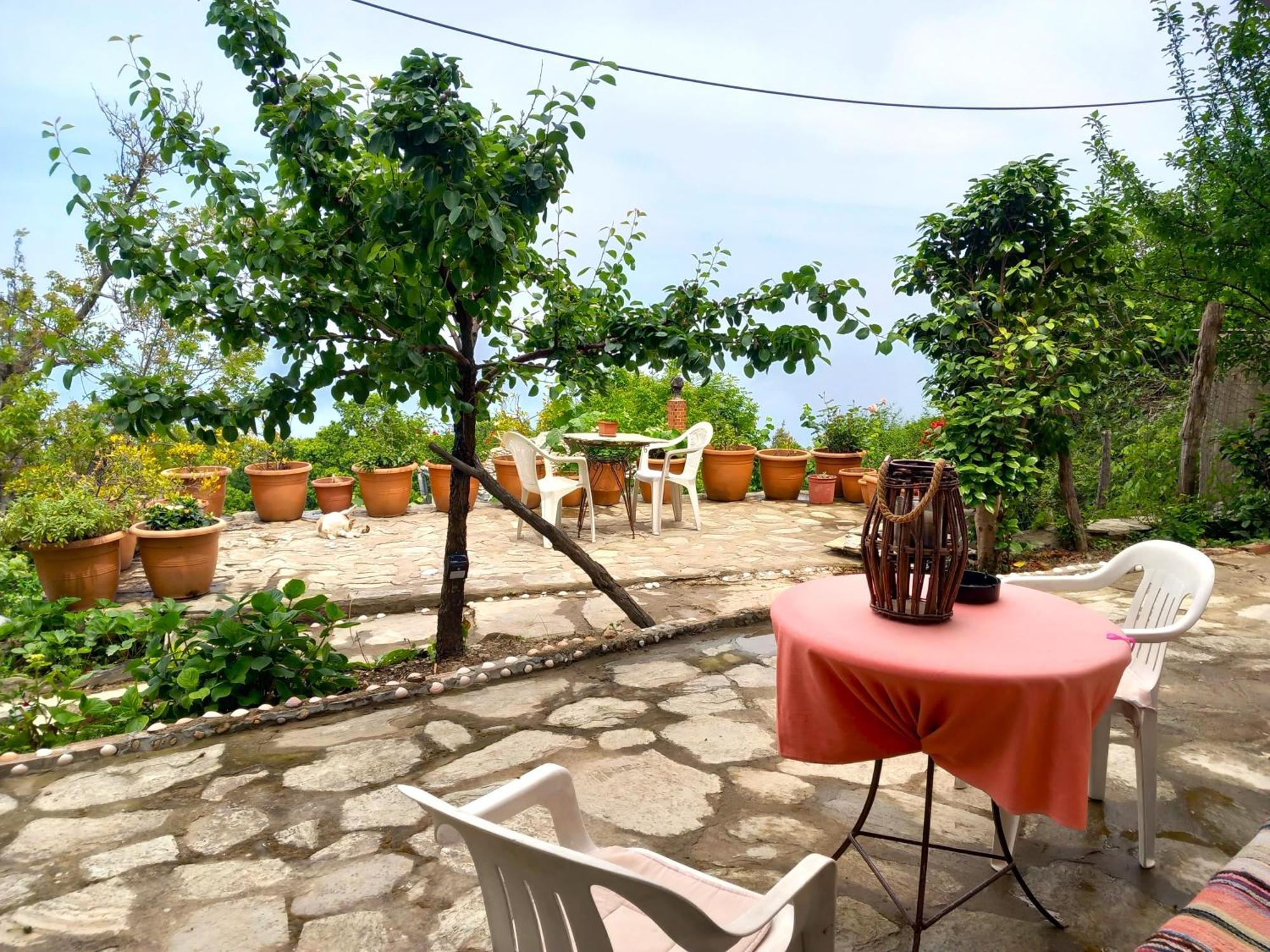 Katafigio In Village *